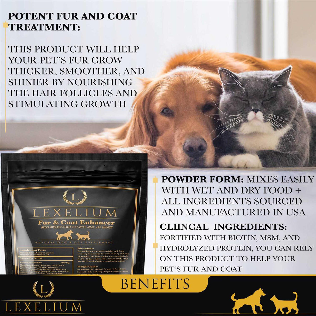 Dermatitis Skin and Coat Supplement for Dogs and Cats V456