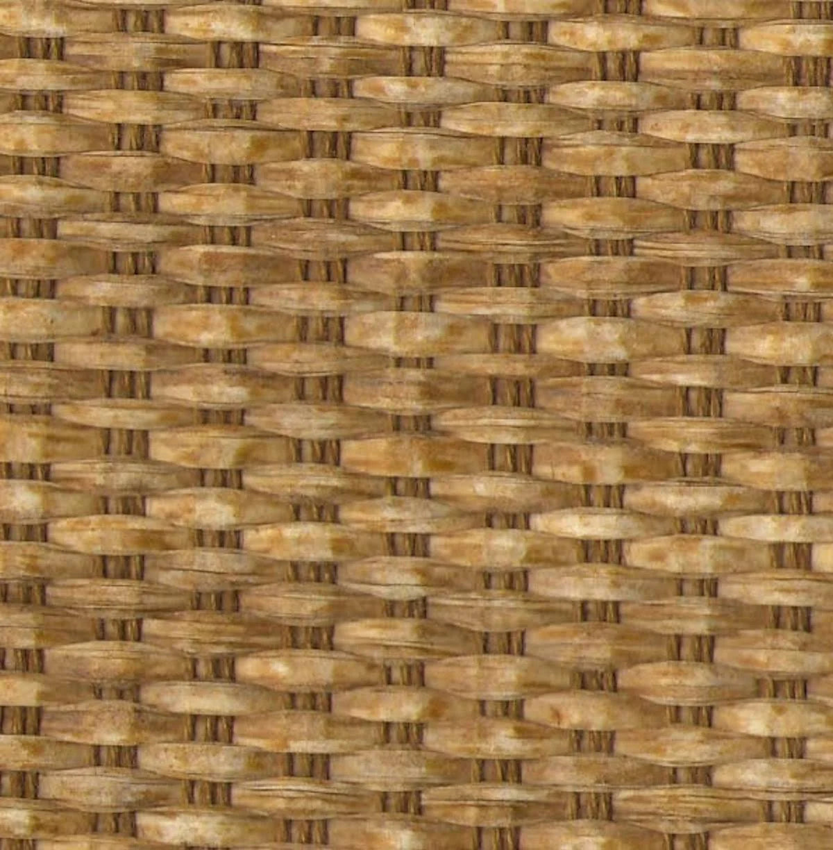 Woven Cane Roller Shade H701