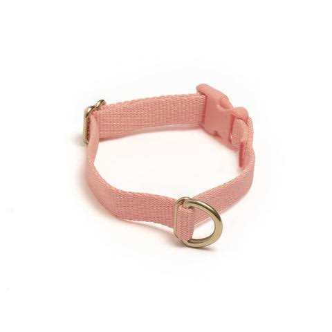 Standard Dog Collar Y70062