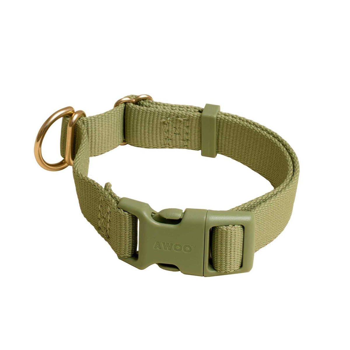 Standard Dog Collar Y70062