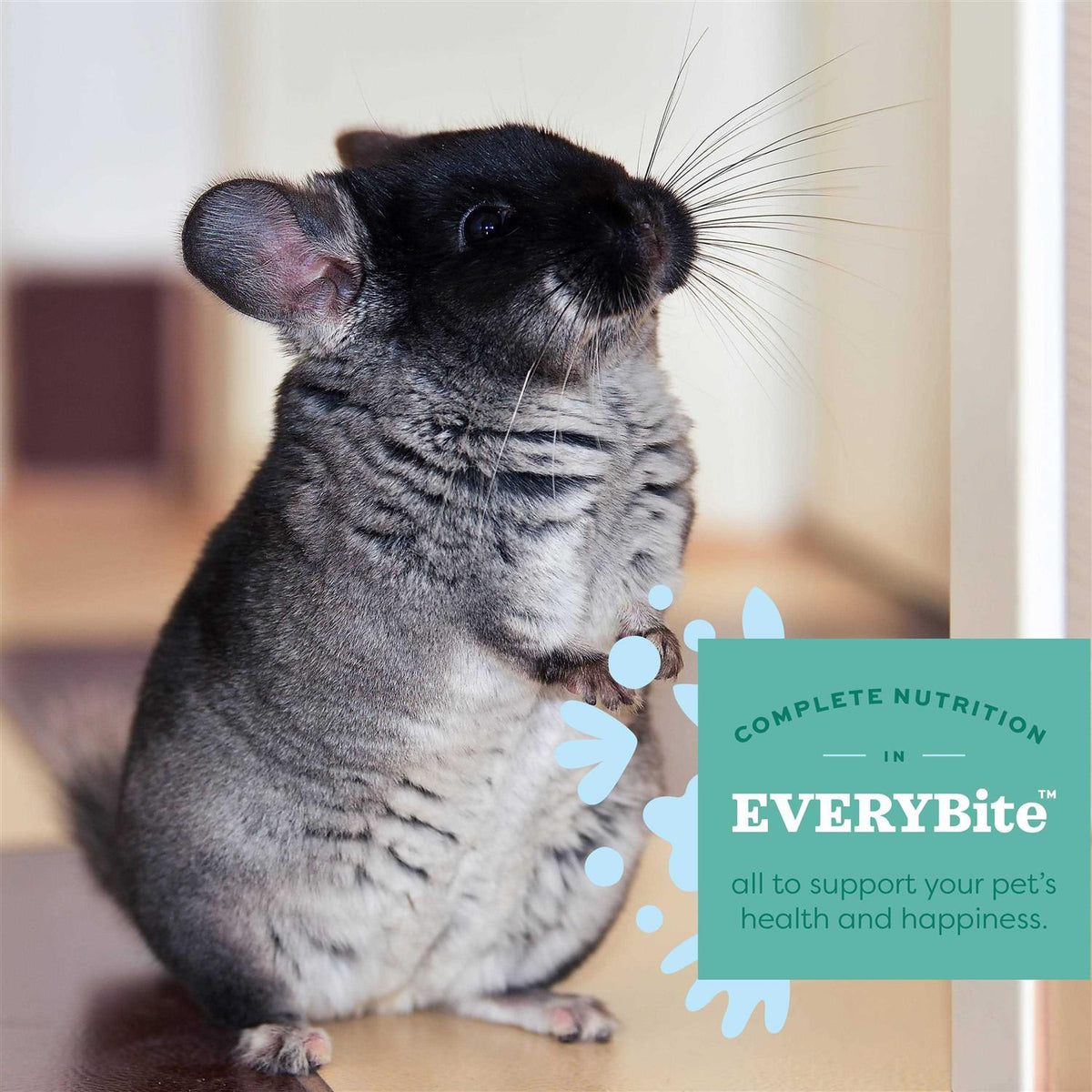 Chinchilla Food T8171