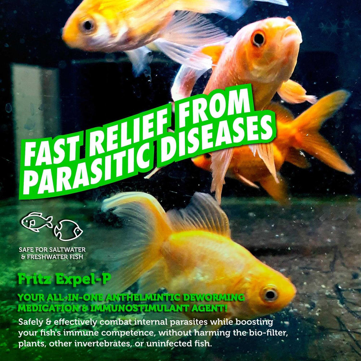 Aquatic Parasitic Disease Treatment Q6643