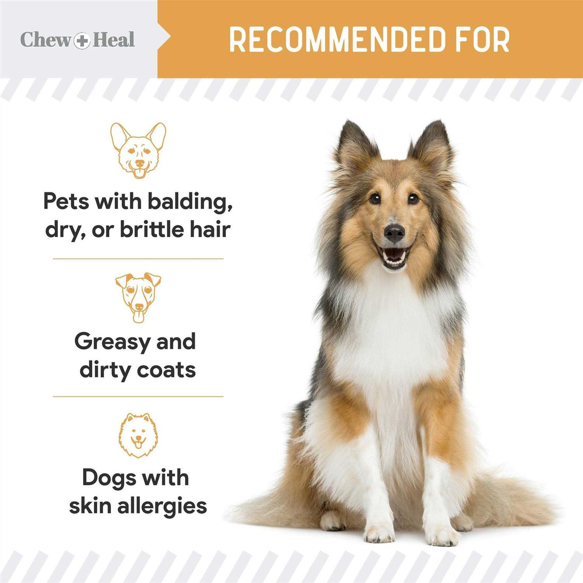 Omega Skin Coat Supplement W772