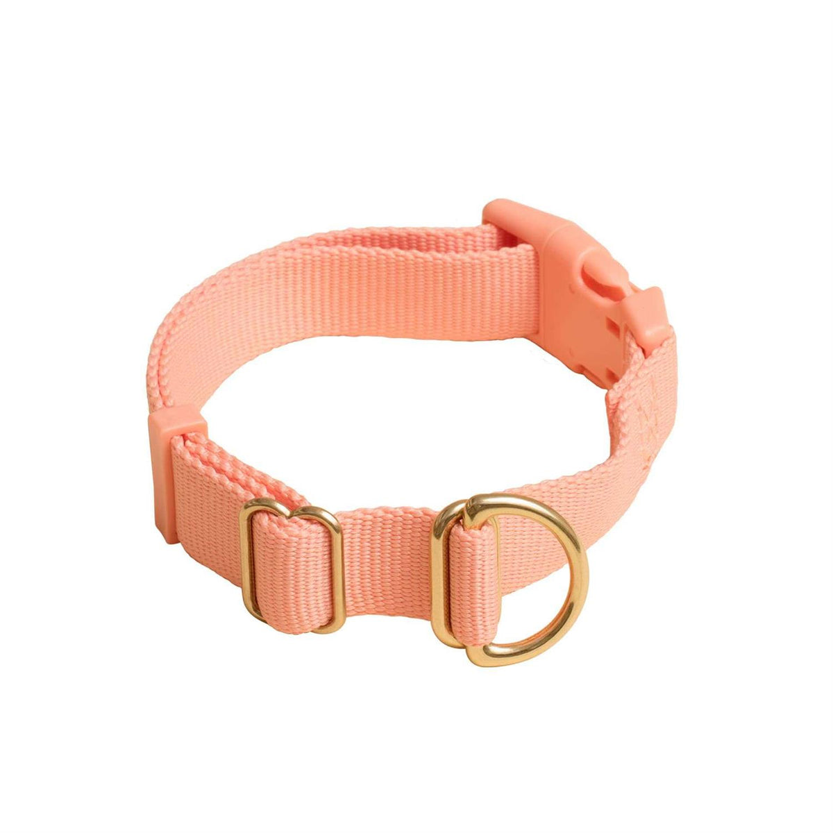 Standard Dog Collar Y70062