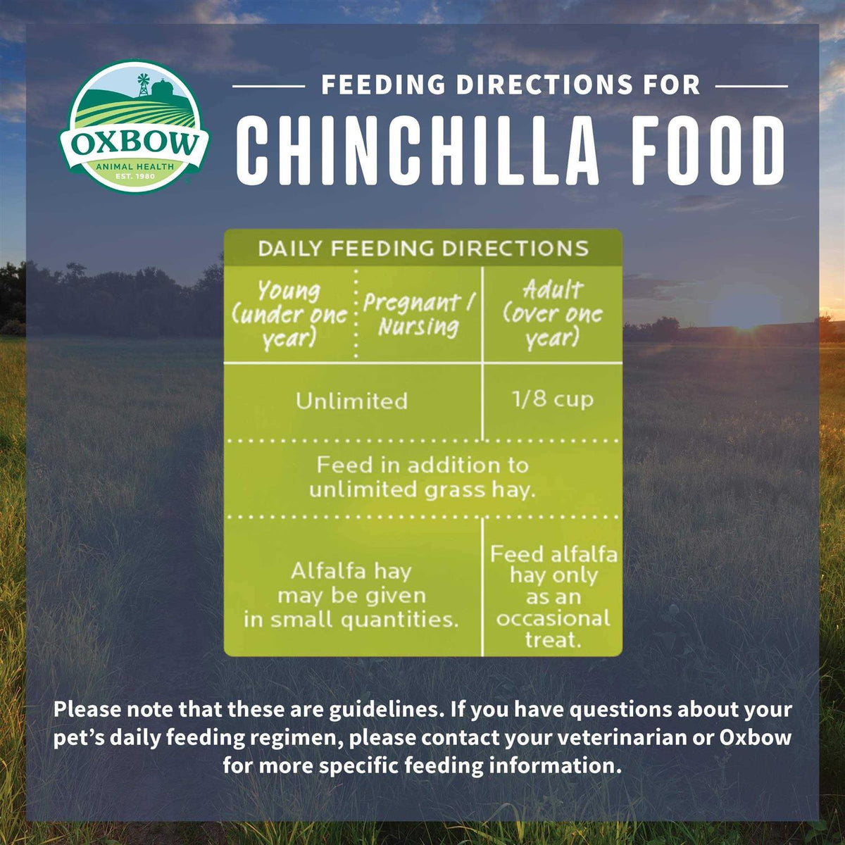 Chinchilla Food T8171
