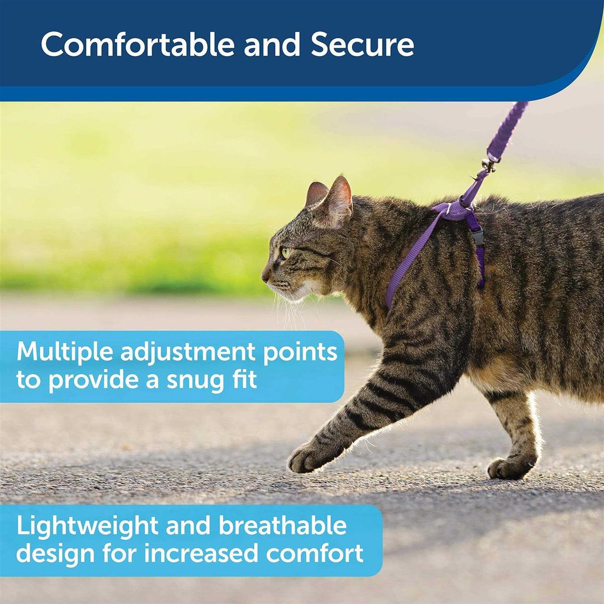 Cat Harness Bungee Leash F2913