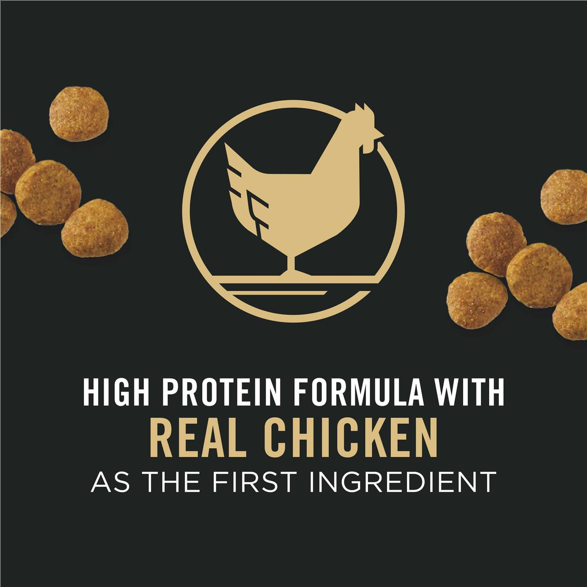 Chicken & Rice Formula Dry Puppy Food I710747