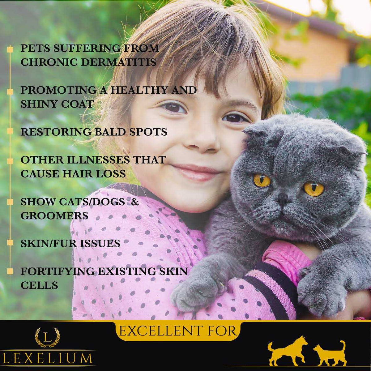 Dermatitis Skin and Coat Supplement for Dogs and Cats V456