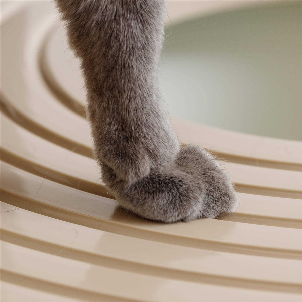 Top Entry Cat Litter Box with Scoop Y9976