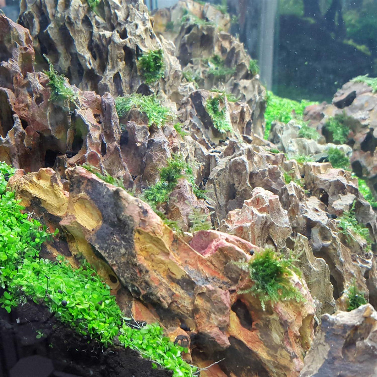 25 Gallon Kit A96056