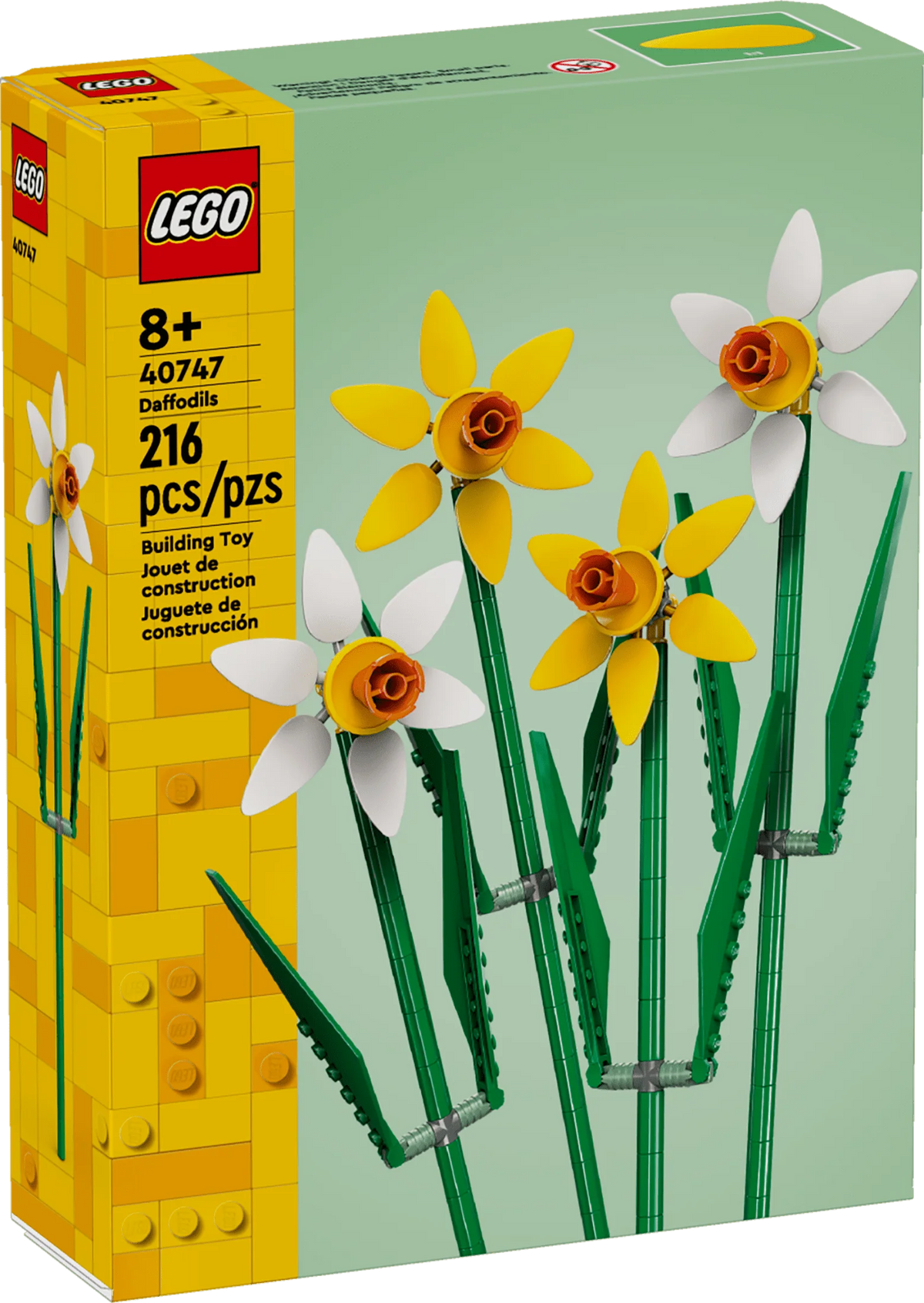 Yellow and White Daffodils J674962