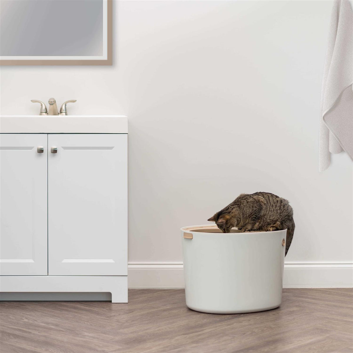 Top Entry Cat Litter Box with Scoop Y9976