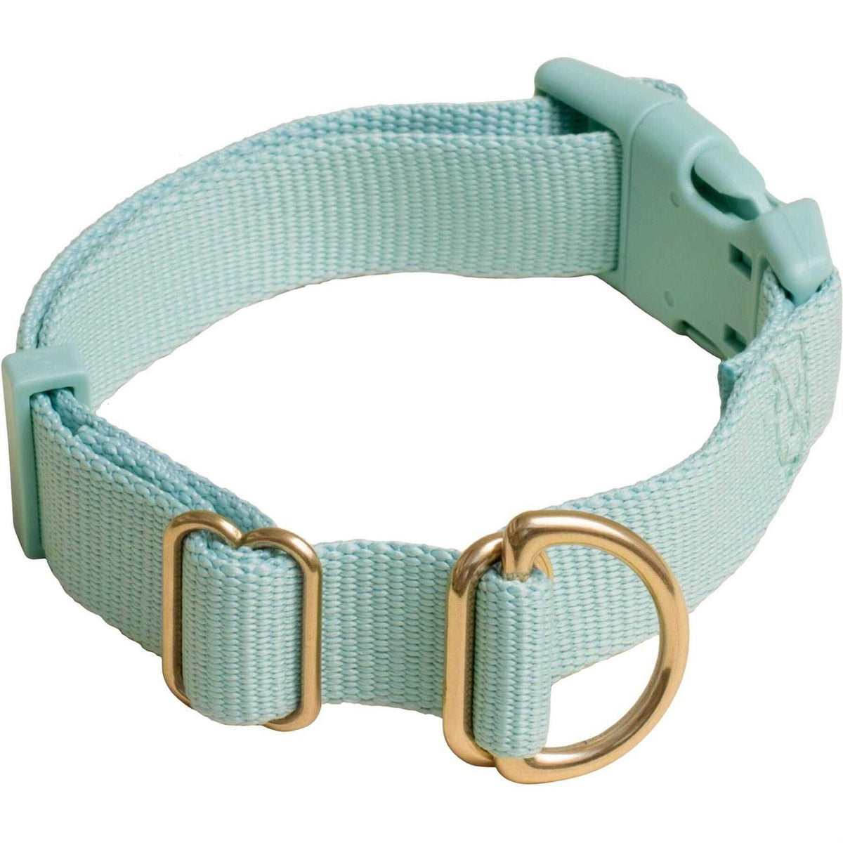 Standard Dog Collar Y70062