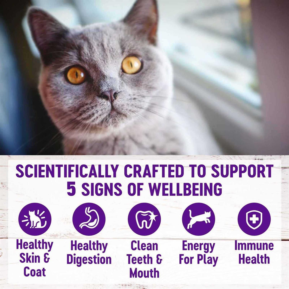 Natural Dry Cat Food S90824